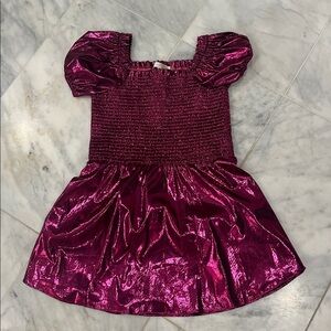 Loveshackfancy Fuchsia Metallic Dress